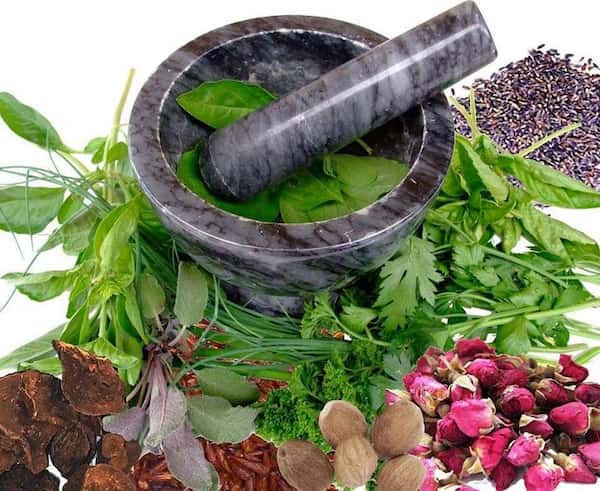 فروش گلنار فارسی برای فشار خون + قیمت خرید به صرفه